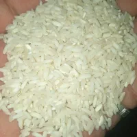 فروش برنج عنبر بو. خوزستان