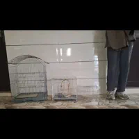 قفس پرنده