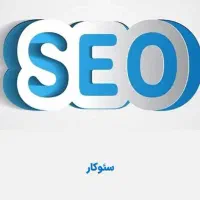 استخدام سئوکار حرفه‌ای وپشتیبان سایت باتجربه