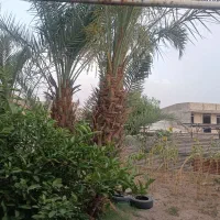 بنگله 152متری در باغ ملی-|فروش خانه و ویلا|مسجد سلیمان, |دیوار