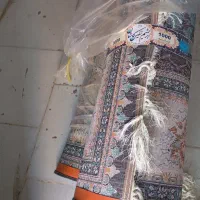 دو قالی نونو پلمپ