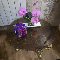 فروش مبل وسرویس  ناهار خوری|مبلمان خانگی و میز عسلی|آستارا, |دیوار