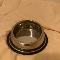 غذا و اسباب پت