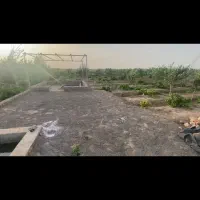باغچه