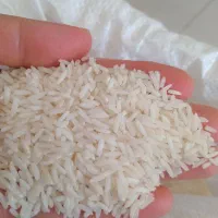 برنج طارم هاشمی ( پاسند)