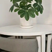 گلدان مصنوعی زیبا فقط ۲۵۰