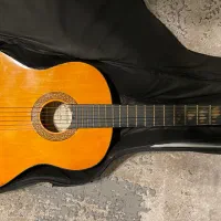 گیتار گودمن