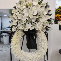 باکس گل و عروسک|گل و گیاه طبیعی|کیش, |دیوار