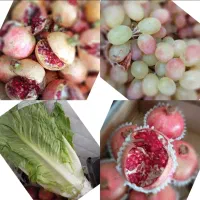 به ۲ نفر برای کار در میوه فروشی نیازمندیم|استخدام خدمات فروشگاه و رستوران|دزفول, |دیوار