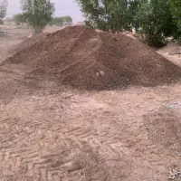 کود|گل و گیاه طبیعی|اهواز, زرگان|دیوار