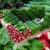 انواع سبزی های تازه و جور با ارسال به تهران کرج