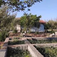 باغ-میوه-با-درختان-مثمر-میوه
