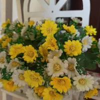 استند گل و گیاه|گل مصنوعی|رشت, بوسار|دیوار