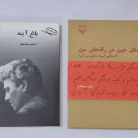 کتاب مثل خون در رگ‌های من