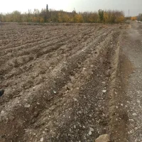 فروش زمین کشاورزی