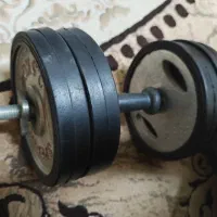 یک جفت دمبل ده کیلویی جمعا ۲۰ کیلو