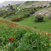 نسخه پیچ خانم