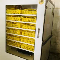 دستگاه جوجه کشی شرکت فاخته M-1008|لوازم جانبی حیوانات|ابهر, |دیوار