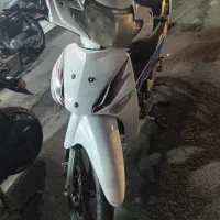 ویو کار دار فروشی