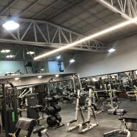 مربی بدنسازی