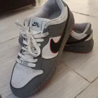 کفش نایک و چرم