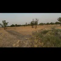 زمین حدود هزار متر ۳۰۰ تومن
