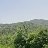 فروش۹۵۰متری/با کاربری مسکونی/ویو ابدی/شهر اطاقور|فروش زمین و ملک کلنگی|اطاقور, |دیوار