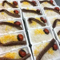 کاروان زیارتی مشهد|تور و چارتر|بیرجند, |دیوار