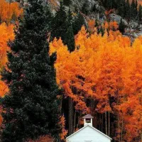 اجاره-اتاق-12متری