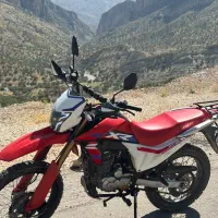 فلات xr250