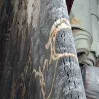 افشان طوسی چندین‌جفت ۶متری|فرش|علی‌آباد کتول, |دیوار