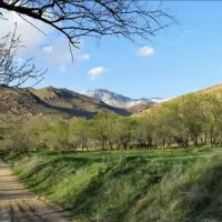 سرمایه-گذاری-در-چند-ساعتی-تهران