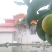 800متر خانه محوطه شیک با سویت مجزا بهاری|فروش خانه و ویلا|رضوانشهر, |دیوار