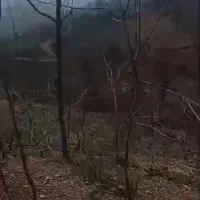 زمینی به مساحت2500متری دروستای کاشکی به فروش میرسد|فروش زمین و ملک کلنگی|سیاهکل, |دیوار