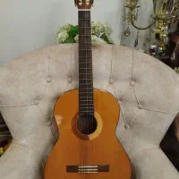 گیتار C40 اصلی