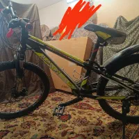 دوچرخه ۲۴ ویوا