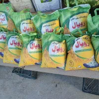 برنج رویال  درجه یک دانه بلند فقط امشب قیمت 2800