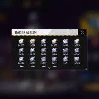 اکانت فر فایر