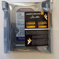 هارد بنفش یک ترا اصلی با گارانتی Hdd 1tb purple