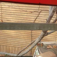 باسکول دامکش|فروشگاه و مغازه|همدان, |دیوار