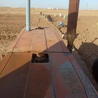 پیاز زعفران