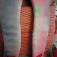 کیف مدرسه