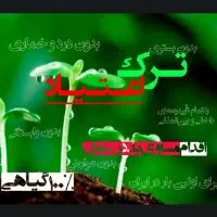 تضمین شده ترین روش ترک اعتیاد