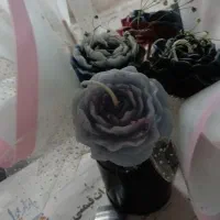 باکس فقط ۳روز