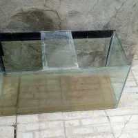 آکواریوم