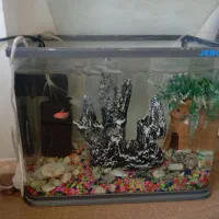 آکواریوم فروشی|ماهی|مرند, |دیوار