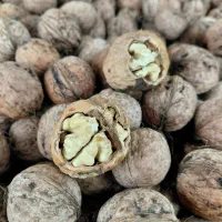 گردو|خوردنی و آشامیدنی|مشگین شهر, |دیوار