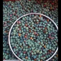 بن درجه یک|خوردنی و آشامیدنی|مسجد سلیمان, |دیوار