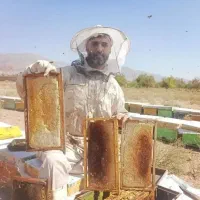 عسل کلی و جزئی