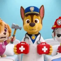 سگ پیدا شده